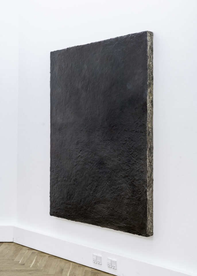 1_ Stan Van Steendam - Palha, 2019 - 170 x 130 x 8 cm