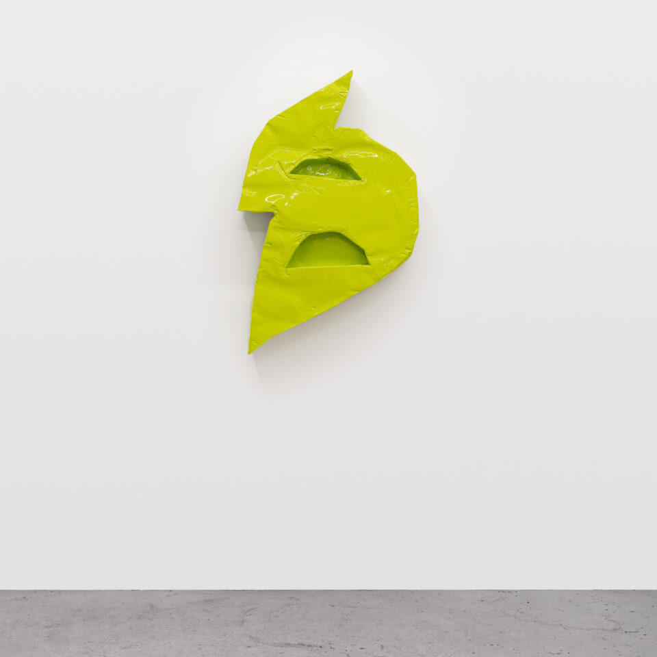 1. Daniel_Boccato_gacface_2019_epoxy_fiberglass_polyurethane_55×88×15cm