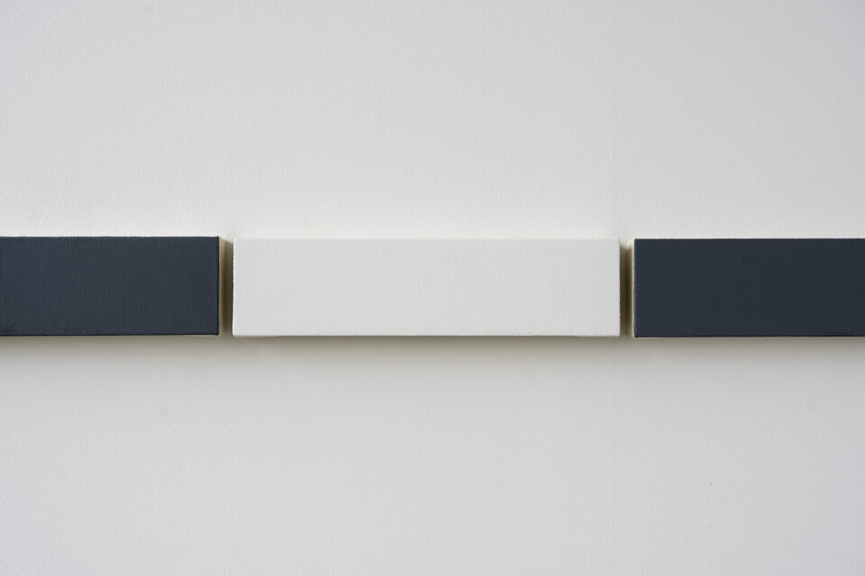 3. Matthew Feyld Untitled, 2020-2021 acrylic and pigments on canvas over nine panels 4x164 inches (10,16 x 416,56 cm) five panels 4x20 inches (10,16 x 50,8 cm) four panels 4x16 inches (10,16 x 40,64 cm)